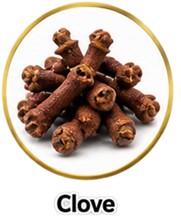 Clove