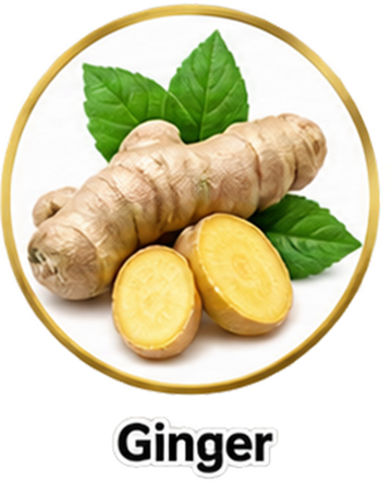 Ginger